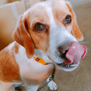 poko