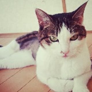 Masami