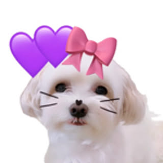 mia