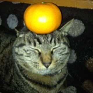 Kokoko