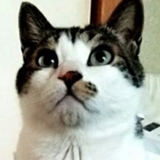 Misa