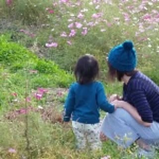hiwahiwa