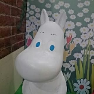 mocomoco