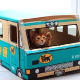 sishou-neko