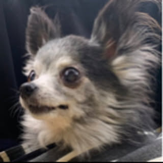 rioka