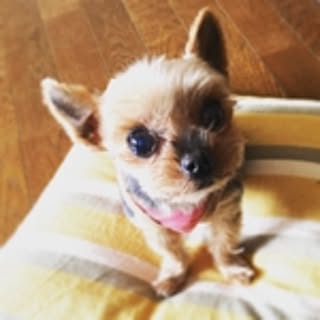 ririco