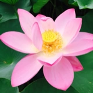 minaminami