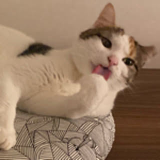 Chloe