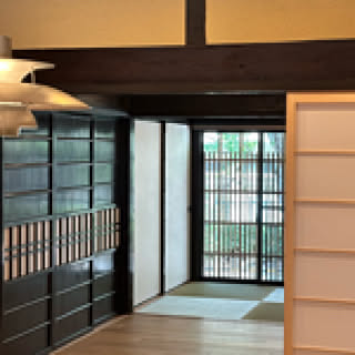 calendula_kyoto