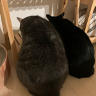 Machiko