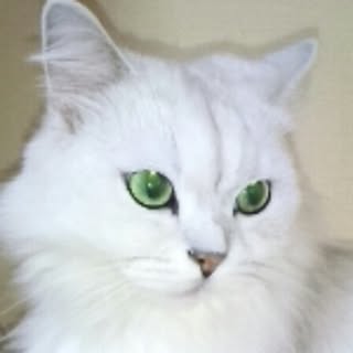mayumode