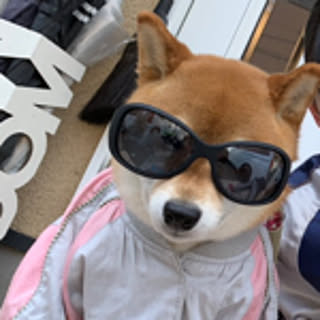suke-sun