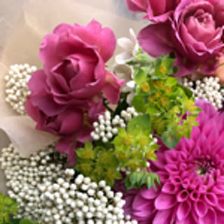 flower.m