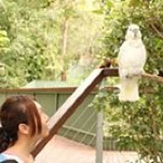 Yuki