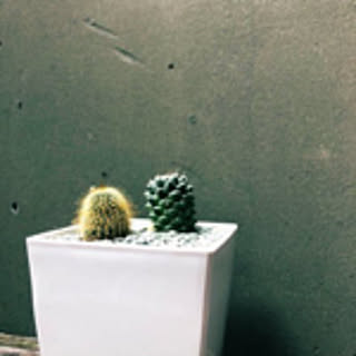 nkmr