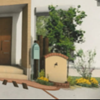 morimo.house