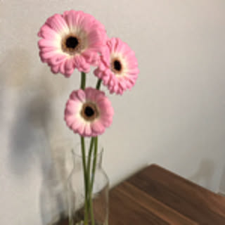 yuko