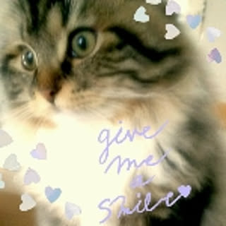 mya-chan