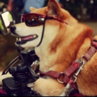 hiro