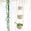 natural_cotton
