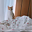 genmai.cat