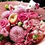 ponkichi