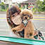 chiaki.chun