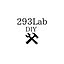 293lab