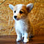 corgi_tumugi