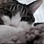 mu_chan