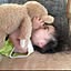 izumi.clip