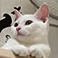 Mikiko