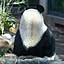 pandapanda