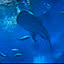 haru0301