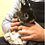 fancycat_1129