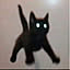 cat_fish