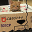 chan-kono