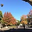 nashikiri