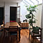 tweety_homedecor