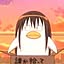 hachi