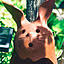 maro