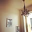 shi_iegram