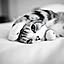 marble