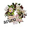 aruru