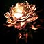 girasole672