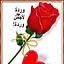 Jawad