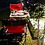 anica_1626