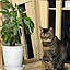 RAKI_Home