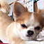 hiroi