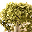 linen